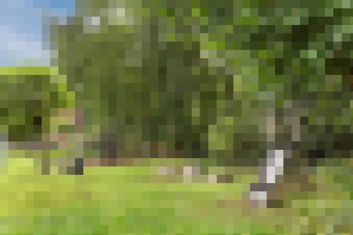 Wilgenlaan 3 Harderwijk thumbnail 67