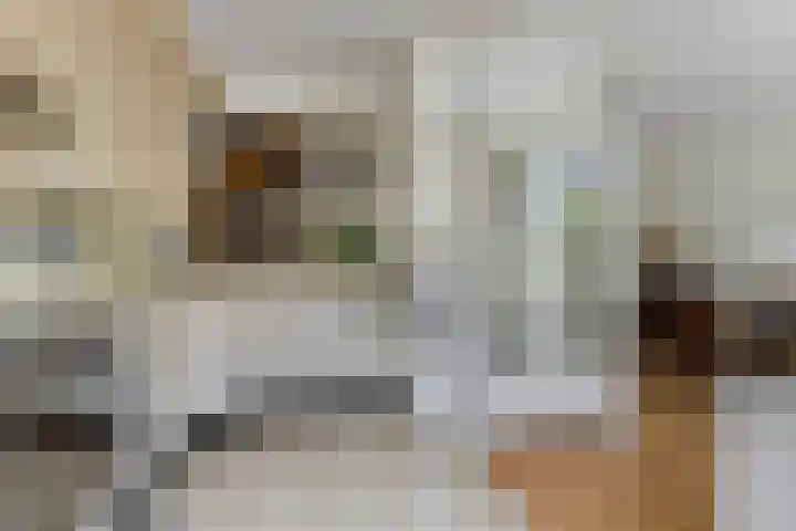 Wilgenlaan 3 Hoogland thumbnail 16