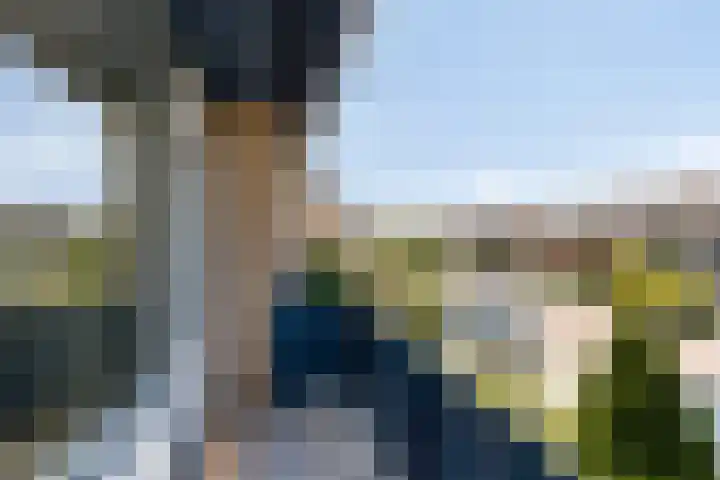 Wilgenlaan 3 Hoogland thumbnail 29