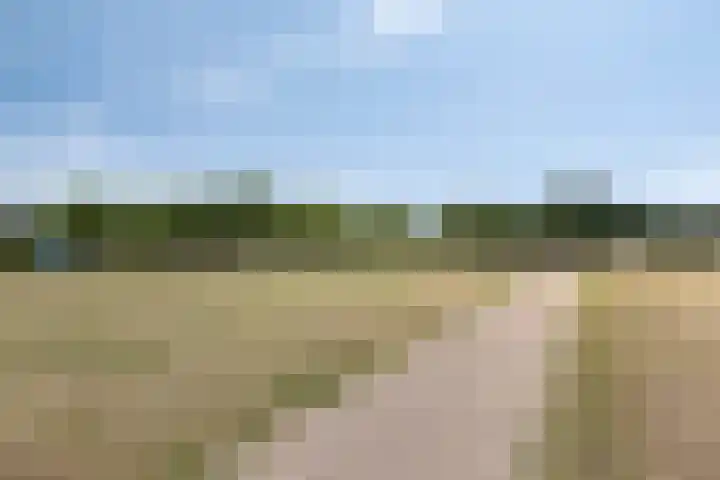 Wilgenlaan 3 Hoogland thumbnail 37