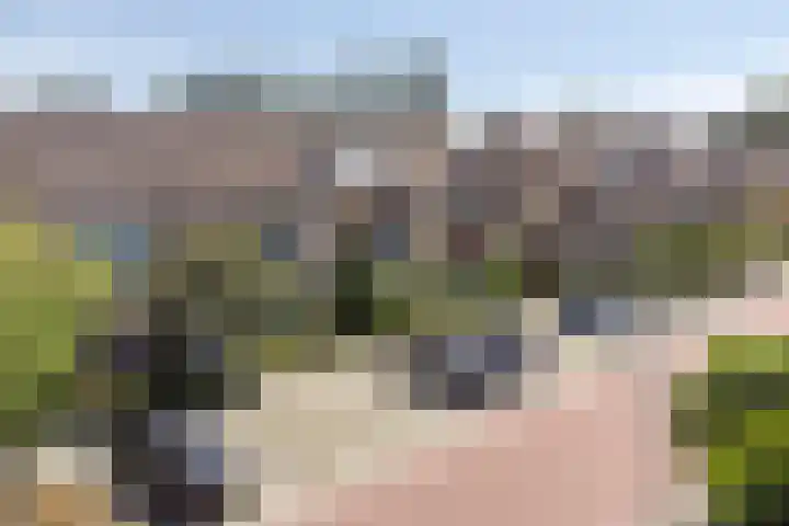 Wilgenlaan 3 Hoogland thumbnail 38