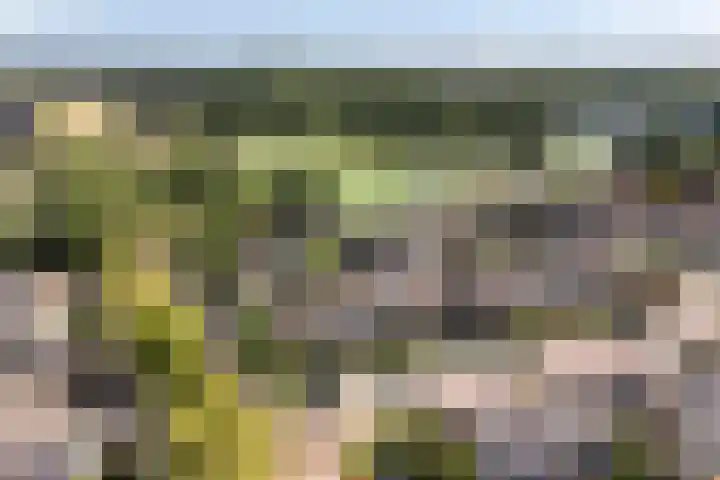 Wilgenlaan 3 Hoogland thumbnail 39