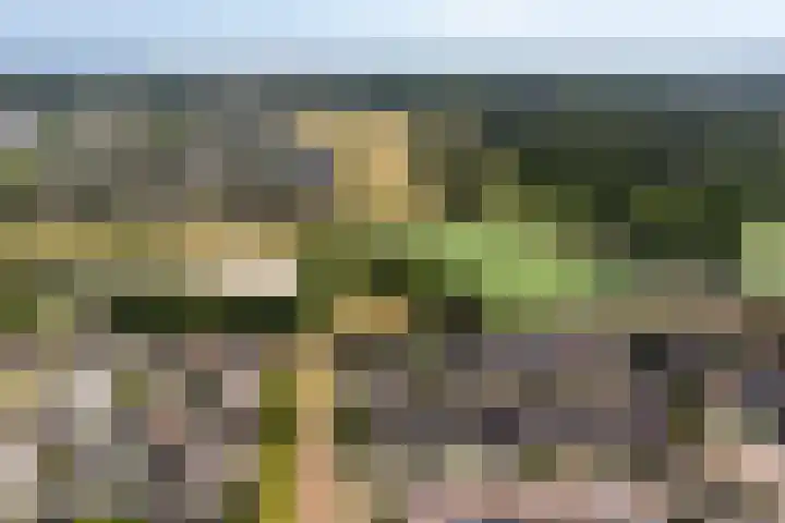 Wilgenlaan 3 Hoogland thumbnail 41
