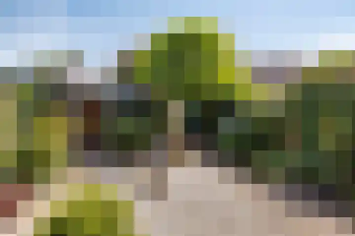 Wilgenlaan 3 Hoogland thumbnail 5