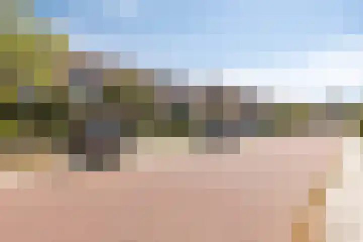 Wilgenlaan 3 Hoogland thumbnail 6