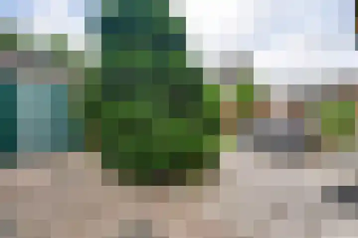 Wilgenlaan 30 Bunde thumbnail 14