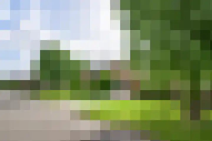 Wilgenlaan 30 Bunde thumbnail 16