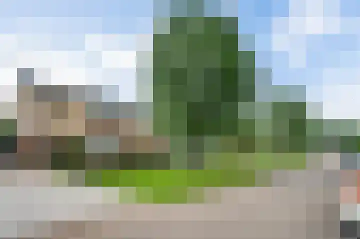 Wilgenlaan 30 Bunde thumbnail 17