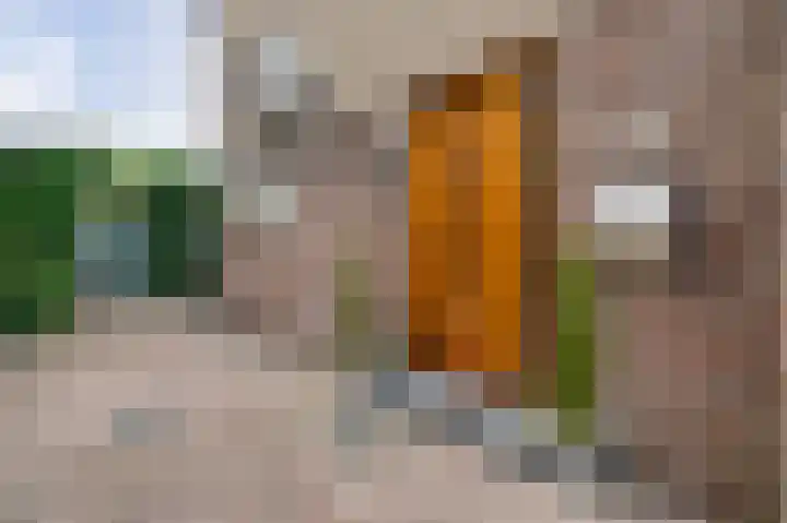 Wilgenlaan 30 Bunde thumbnail 18