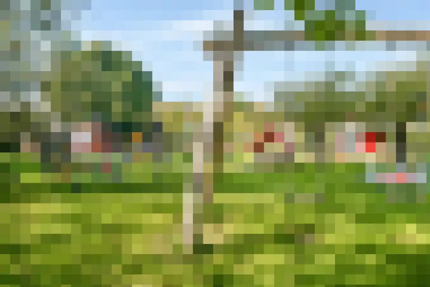 Wilgenlaan 30 Sassenheim thumbnail 33