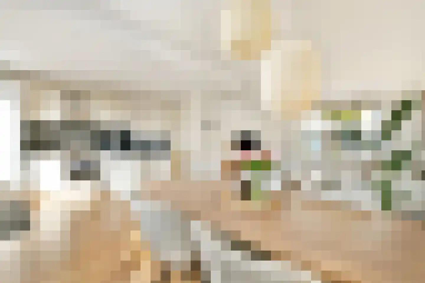Wilgenlaan 30 Sassenheim thumbnail 8