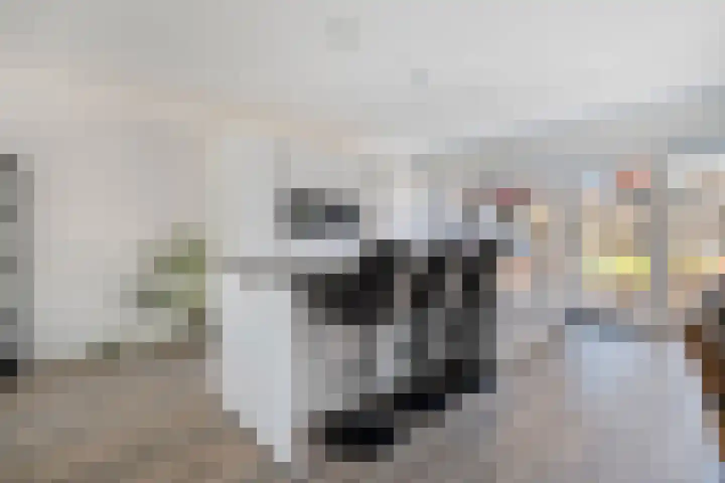 Wilgenlaan 30 Wierden thumbnail 11