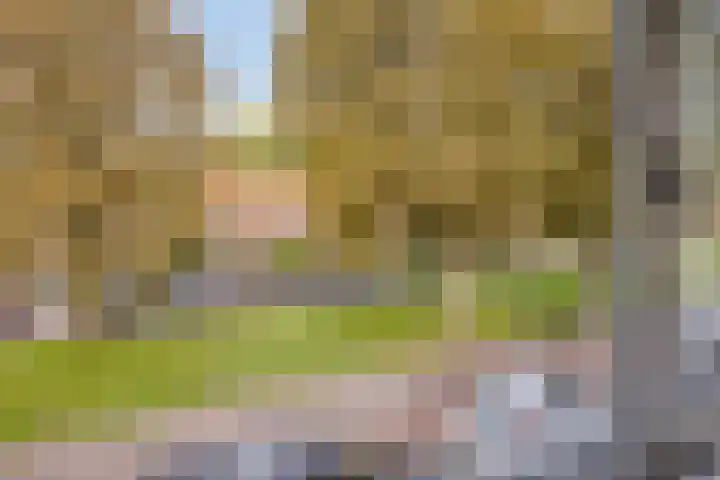 Wilgenlaan 31 Arnhem thumbnail 16