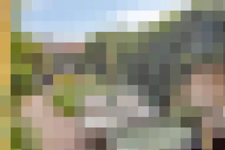 Wilgenlaan 31 Arnhem thumbnail 28