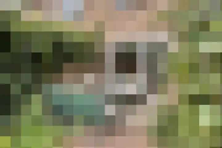 Wilgenlaan 31 Arnhem thumbnail 29