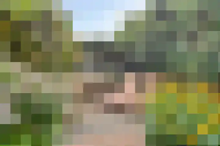 Wilgenlaan 31 Arnhem thumbnail 30