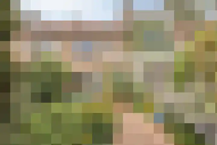 Wilgenlaan 31 Arnhem thumbnail 32