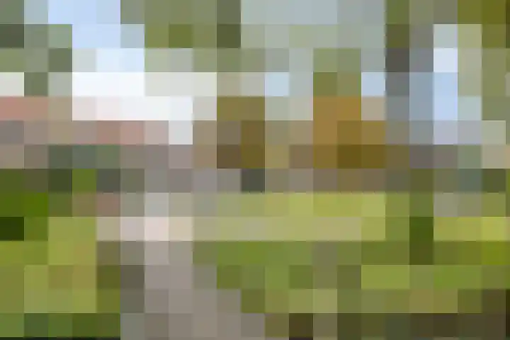 Wilgenlaan 31 Arnhem thumbnail 34