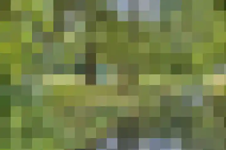 Wilgenlaan 31 Arnhem thumbnail 35