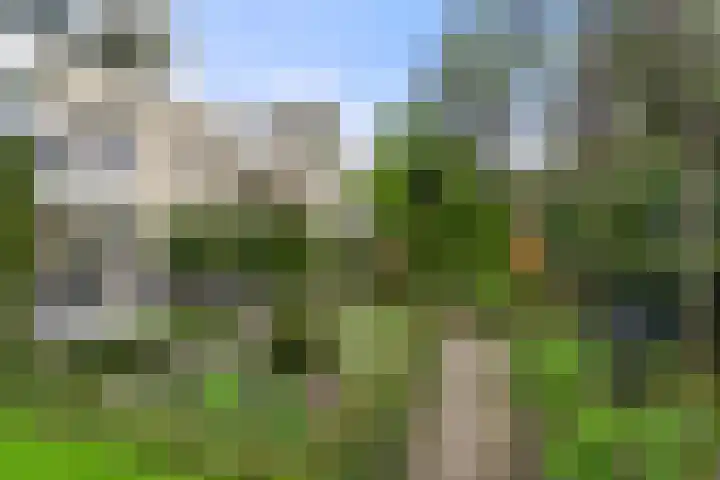 Wilgenlaan 32 Ede thumbnail 10