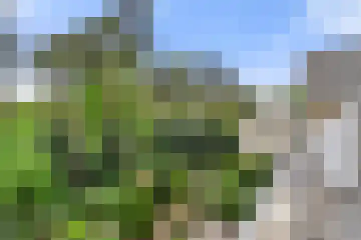 Wilgenlaan 32 Ede thumbnail 32