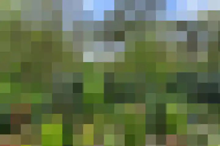 Wilgenlaan 32 Ede thumbnail 33