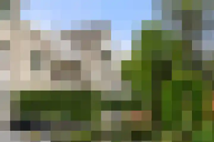 Wilgenlaan 32 Ede thumbnail 9