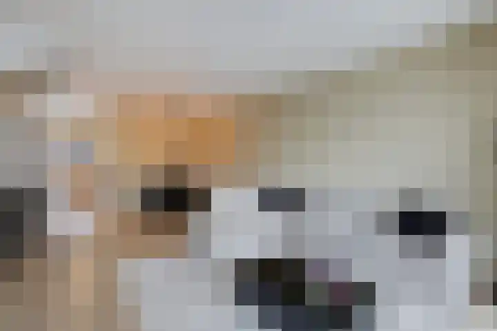 Wilgenlaan 33 Duiven thumbnail 17