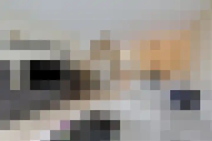 Wilgenlaan 33 Duiven thumbnail 18