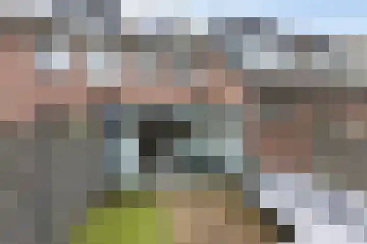 Wilgenlaan 33 Duiven thumbnail 42