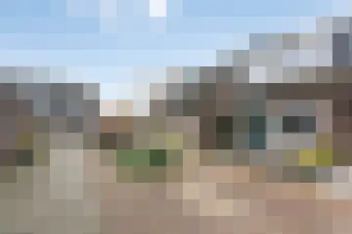 Wilgenlaan 33 Duiven thumbnail 45