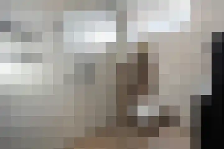 Wilgenlaan 33 Zevenhuizen thumbnail 17