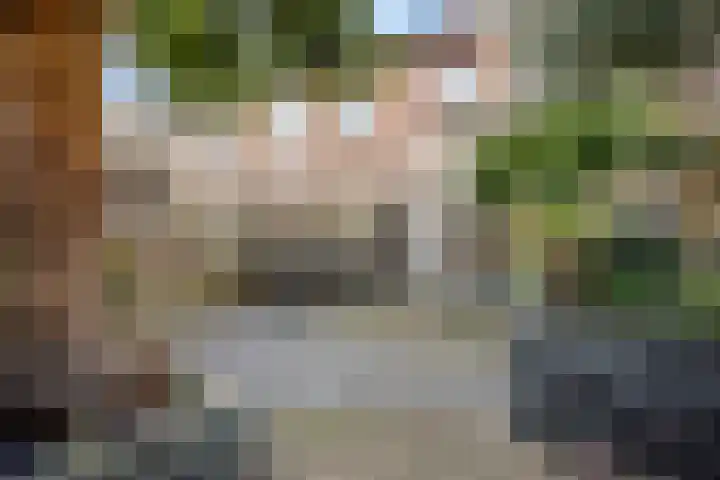 Wilgenlaan 33 Zevenhuizen thumbnail 26