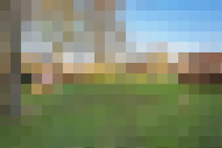Wilgenlaan 33 Zevenhuizen thumbnail 31