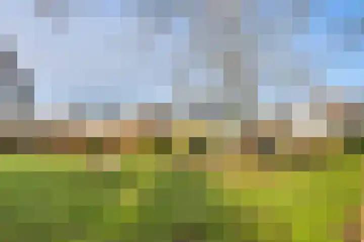 Wilgenlaan 33 Zevenhuizen thumbnail 32