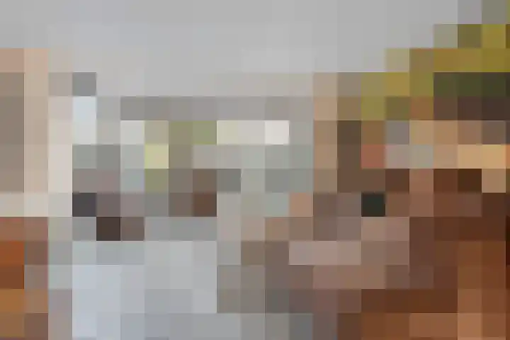 Wilgenlaan 33 Zevenhuizen thumbnail 5