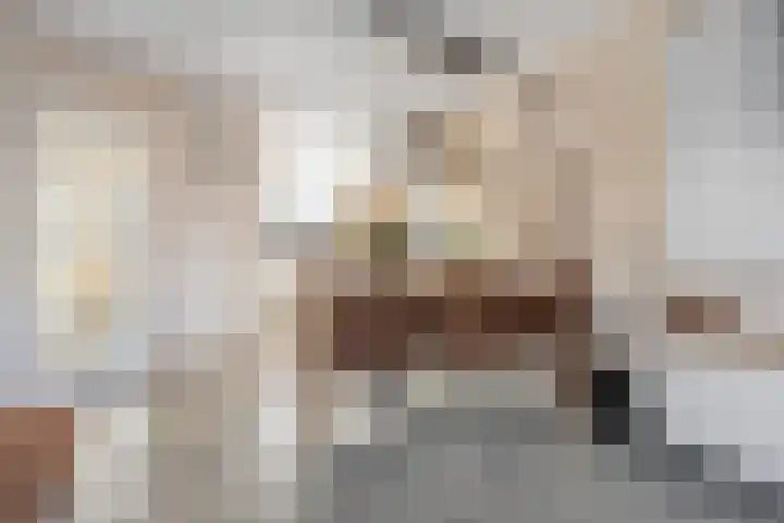 Wilgenlaan 33 Zevenhuizen thumbnail 8