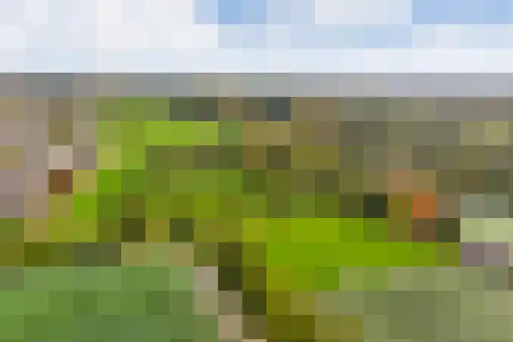 Wilgenlaan 34 Hoogland thumbnail 33