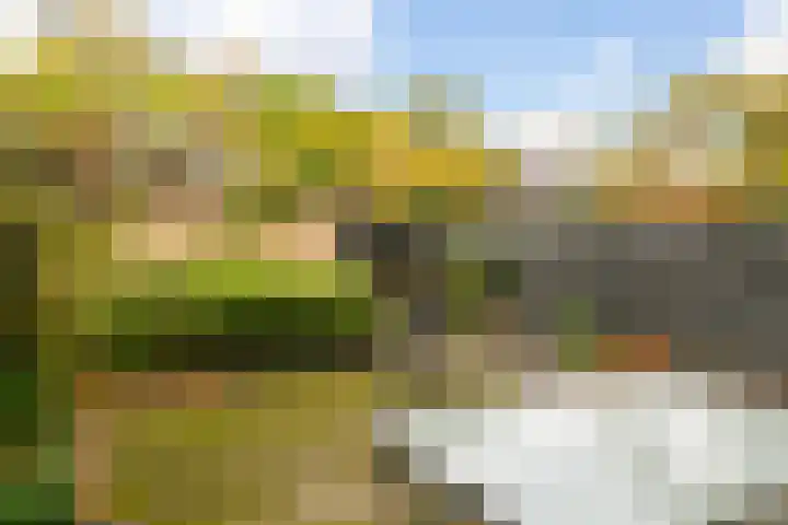 Wilgenlaan 34 Hoogland thumbnail 4