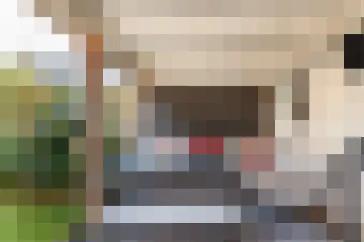 Wilgenlaan 34 Leusden thumbnail 11