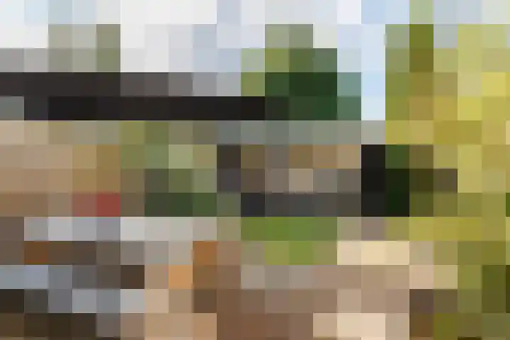 Wilgenlaan 34 Leusden thumbnail 12