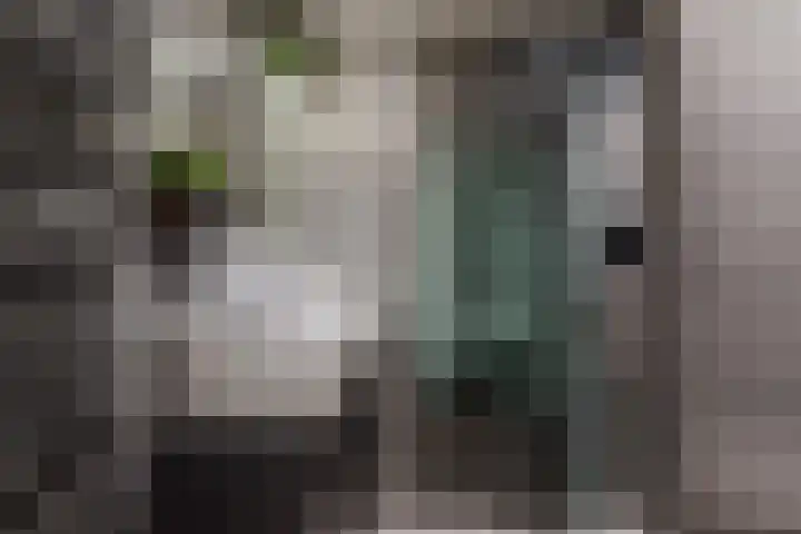 Wilgenlaan 34 Leusden thumbnail 17