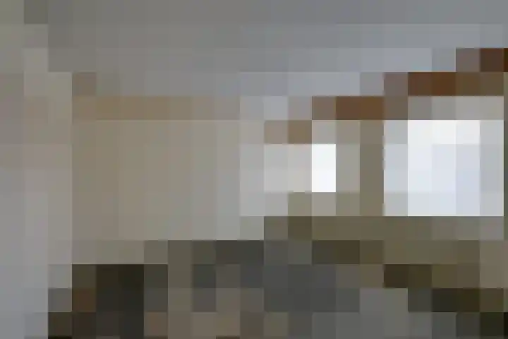Wilgenlaan 34 Udenhout thumbnail 14