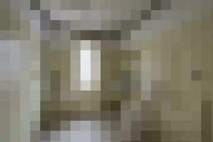 Wilgenlaan 34 Udenhout thumbnail 20