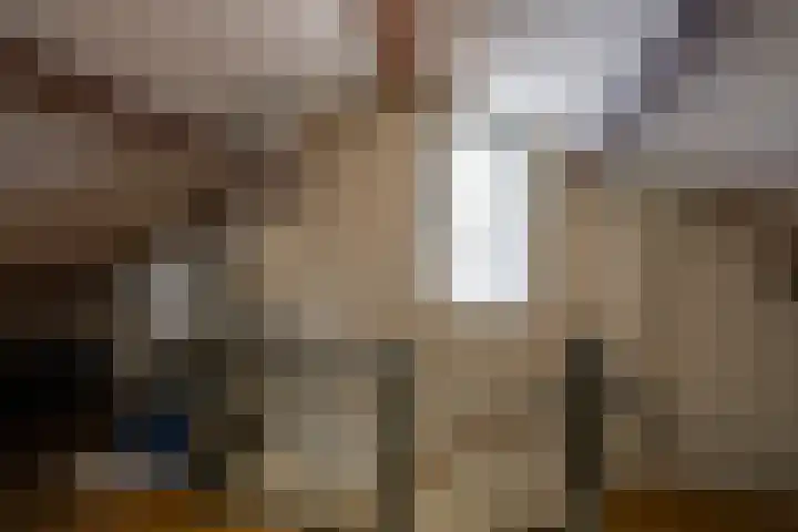Wilgenlaan 34 Udenhout thumbnail 23