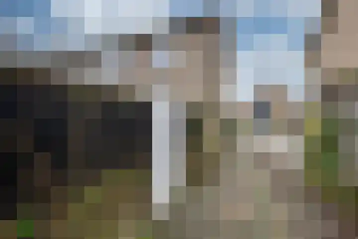 Wilgenlaan 34 Udenhout thumbnail 30