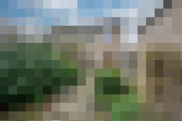 Wilgenlaan 34 Udenhout thumbnail 33