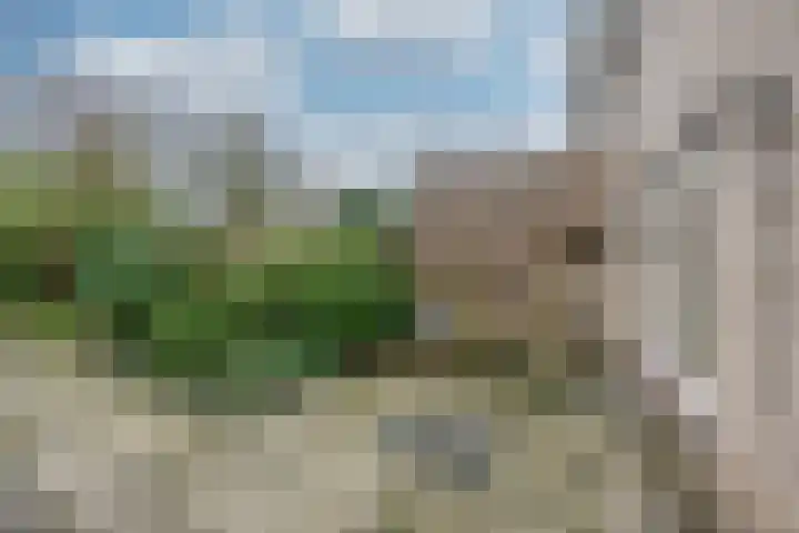 Wilgenlaan 34 Udenhout thumbnail 35