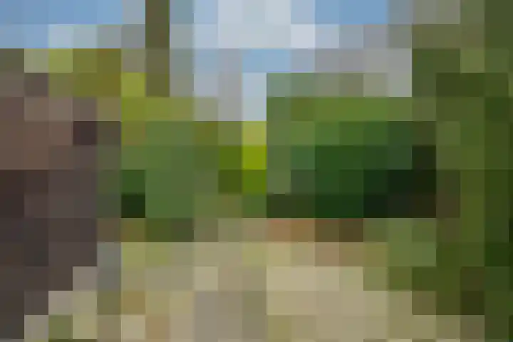 Wilgenlaan 34 Udenhout thumbnail 39