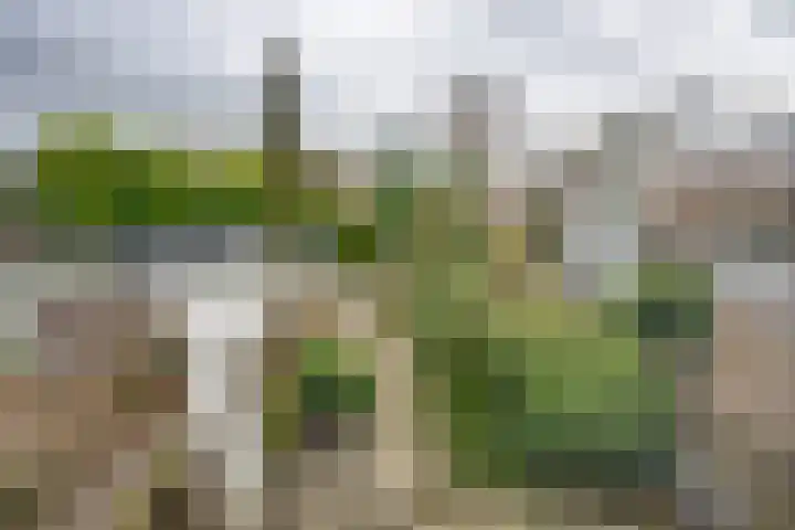 Wilgenlaan 34 Udenhout thumbnail 40